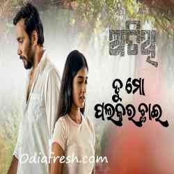 Tu Mo Palakara Chhai